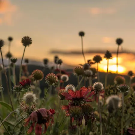 Knappenhof Vakantiehuis *