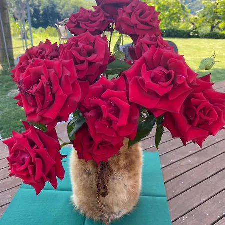 Knappenhof Vakantiehuis Gamlitz