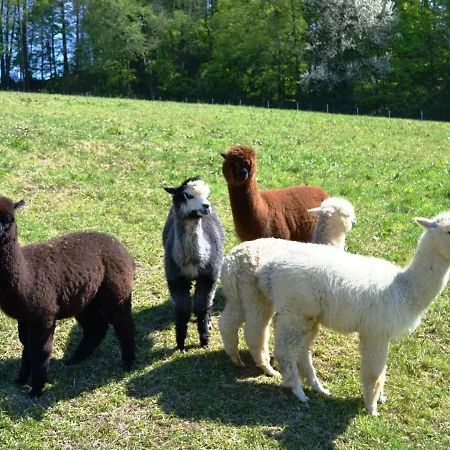 Casa vacanze Knappenhof