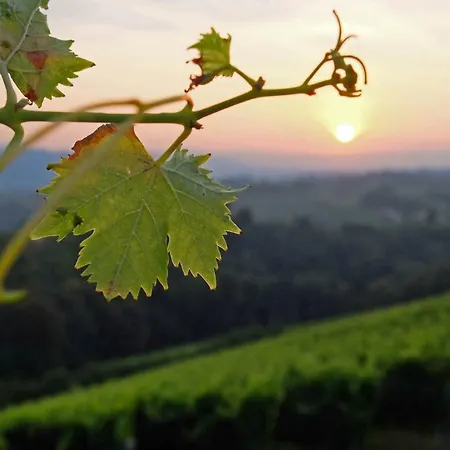 Holiday home Knappenhof *