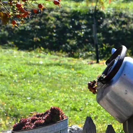 Knappenhof Casa vacanze Gamlitz