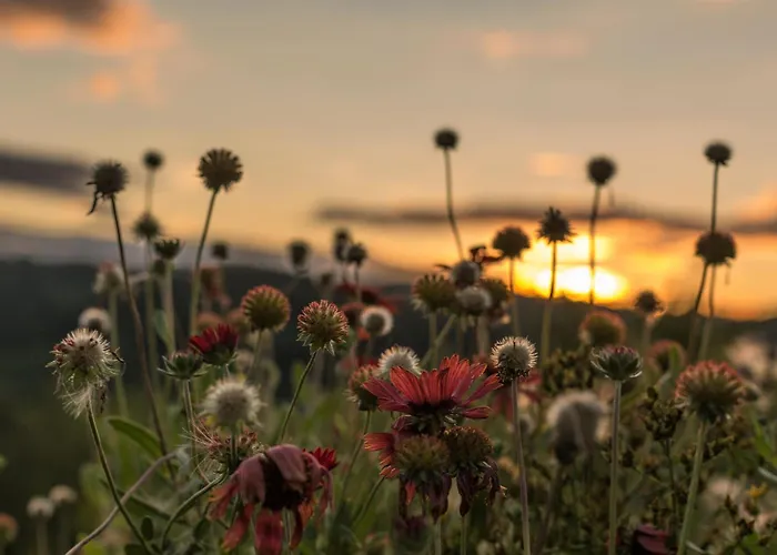 Knappenhof Сasa de vacaciones *