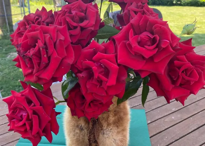 Knappenhof Сasa de vacaciones Gamlitz