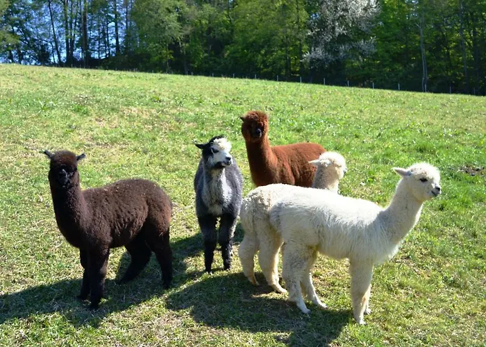 Vakantiehuis Knappenhof