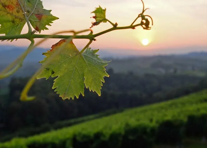 Сasa de vacaciones Knappenhof *